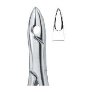Tooth Ext Forceps Amr SE-2300