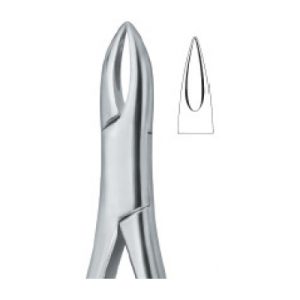 Tooth Ext Forceps Amr SE-2301