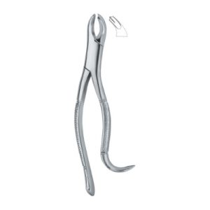 Tooth Ext Forceps Amr SE-2303
