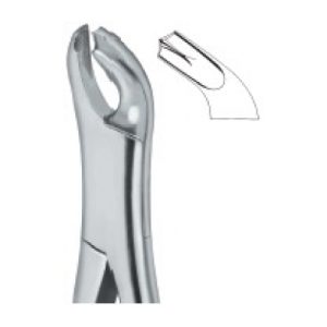 Tooth Ext Forceps Amr SE-2306