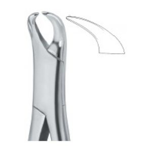 Tooth Ext Forceps Amr SE-2308