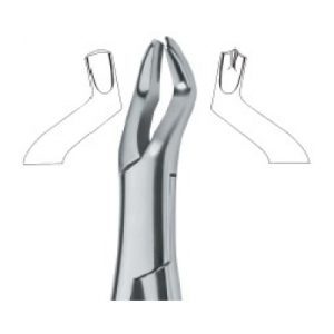 Tooth Ext Forceps Amr SE-2311