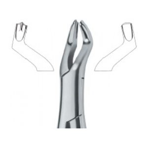 Tooth Ext Forceps Amr SE-2312