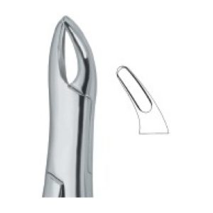 Tooth Ext Forceps Amr SE-2313