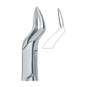 Tooth Ext Forceps Amr SE-2314