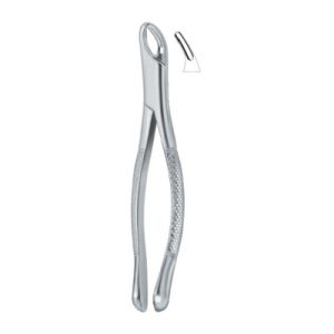 Tooth Ext Forceps Amr SE-2317