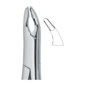 Tooth Ext Forceps Amr SE-2318