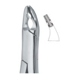Tooth Ext Forceps Amr SE-2319