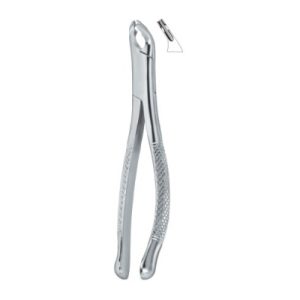 Tooth Ext Forceps Amr SE-2320