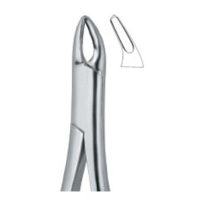 Tooth Ext Forceps Amr SE-2321