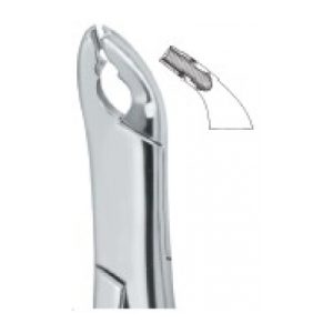 Tooth Ext Forceps Amr SE-2325