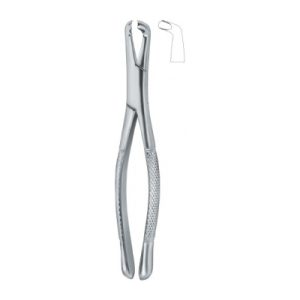 Tooth Ext Forceps Amr SE-2327