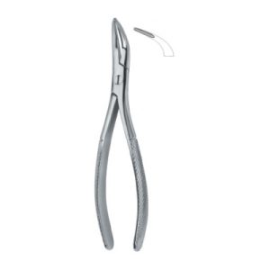 Tooth Ext Forceps Amr SE-2328