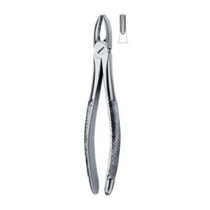 Tooth Ext Forceps SE-2400