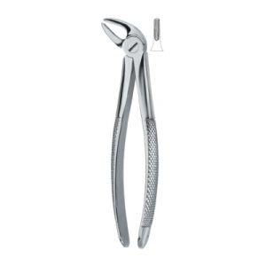 Tooth Ext Forceps SE-2402
