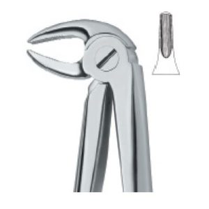 Tooth Ext Forceps SE-2404