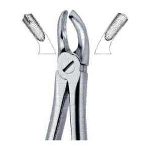 Tooth Ext Forceps SE-2405