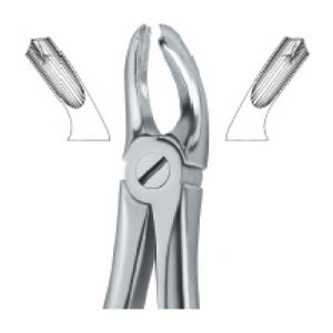 Tooth Ext Forceps SE-2407