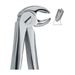 Tooth Ext Forceps SE-2409