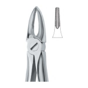 Tooth Ext Forceps SE-2411