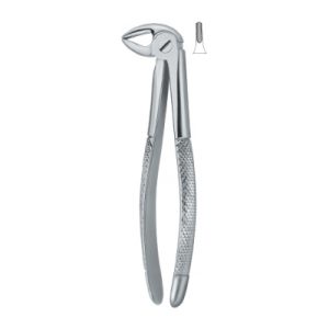 Tooth Ext Forceps SE-2412