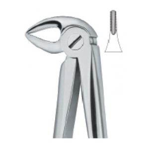 Tooth Ext Forceps SE-2413