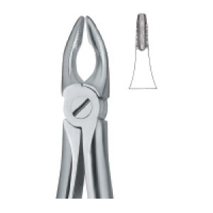 Tooth Ext Forceps SE-2416