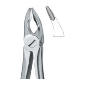Tooth Ext Forceps SE-2417