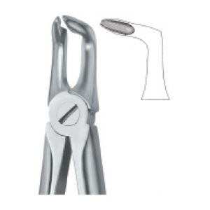 Tooth Ext Forceps SE-2419