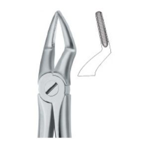 Tooth Ext Forceps SE-2422