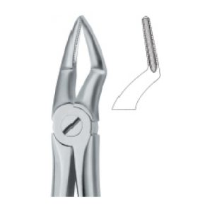 Tooth Ext Forceps SE-2423