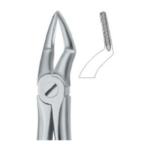 Tooth Ext Forceps SE-2424