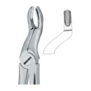 Tooth Ext Forceps SE-2425