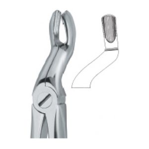 Tooth Ext Forceps SE-2426