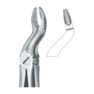 Tooth Ext Forceps SE-2427