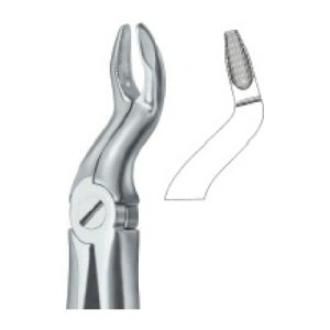 Tooth Ext Forceps SE-2430