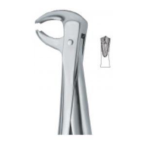 Tooth Ext Forceps SE-2431