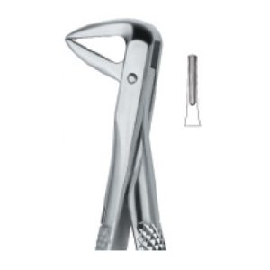 Tooth Ext Forceps SE-2433