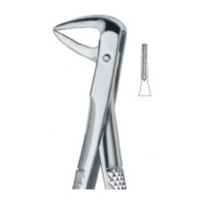 Tooth Ext Forceps SE-2434