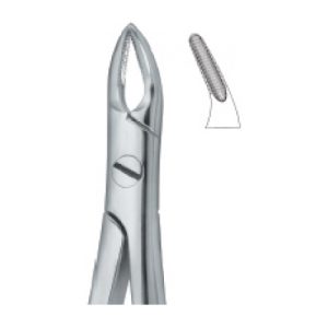 Tooth Ext Forceps SE-2437