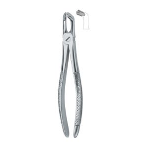 Tooth Ext Forceps SE-2439