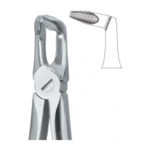 Tooth Ext Forceps SE-2441