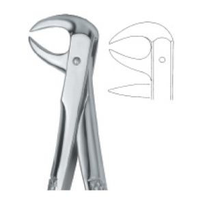 Tooth Ext Forceps SE-2443