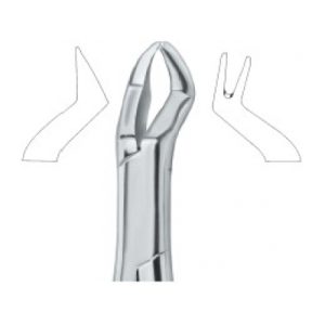 Tooth Ext Forceps SE-2444